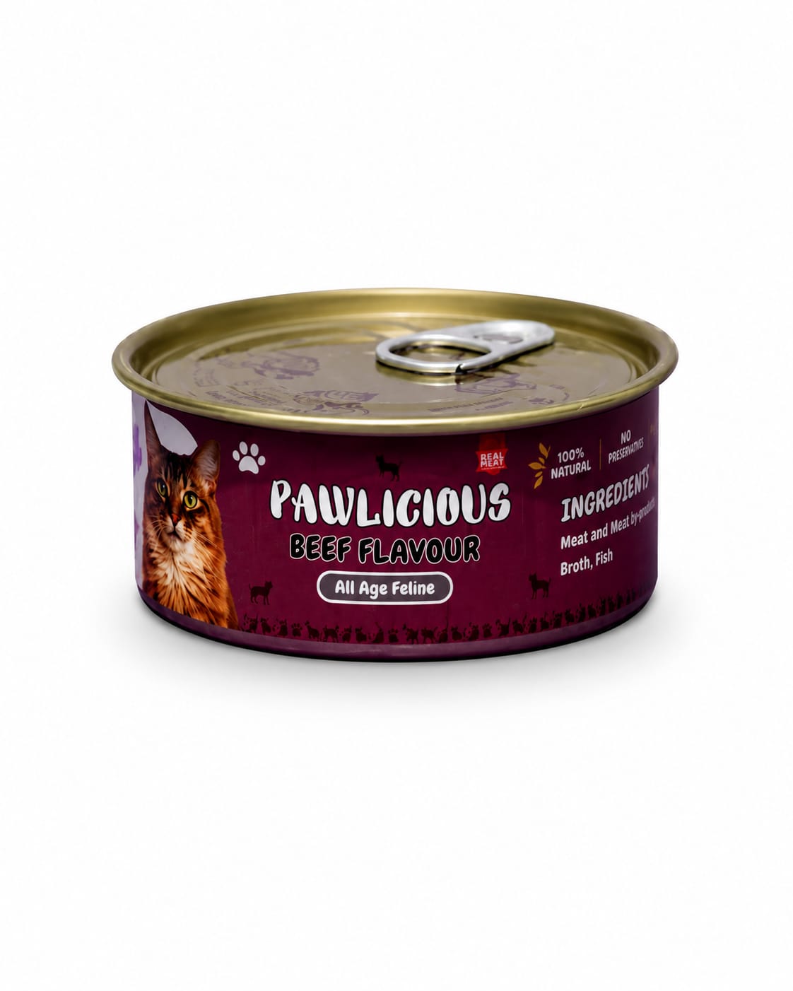 Pawlicious Cat Food - Beef Flavor