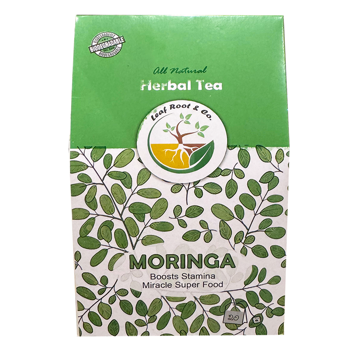 Moringa Herbal Tea by Leaf Root
